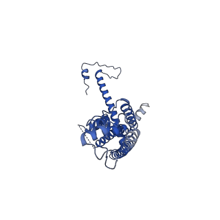 10917_6ytk_K_v1-1
Cryo-EM structure of a dimer of decameric human CALHM4 in the absence of Ca2+