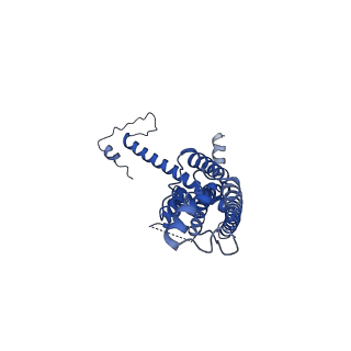 10917_6ytk_L_v1-1
Cryo-EM structure of a dimer of decameric human CALHM4 in the absence of Ca2+