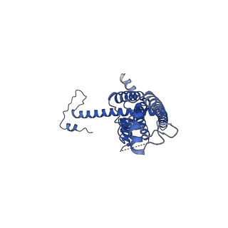 10917_6ytk_M_v1-1
Cryo-EM structure of a dimer of decameric human CALHM4 in the absence of Ca2+