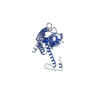 10917_6ytk_P_v1-1
Cryo-EM structure of a dimer of decameric human CALHM4 in the absence of Ca2+