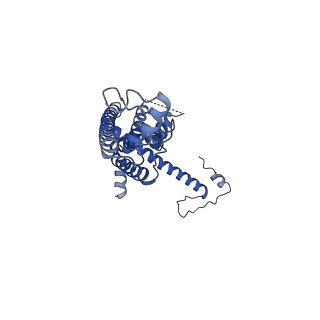 10917_6ytk_Q_v1-1
Cryo-EM structure of a dimer of decameric human CALHM4 in the absence of Ca2+