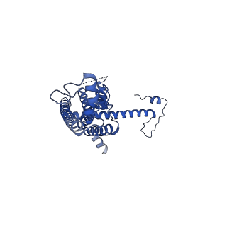 10917_6ytk_R_v1-1
Cryo-EM structure of a dimer of decameric human CALHM4 in the absence of Ca2+