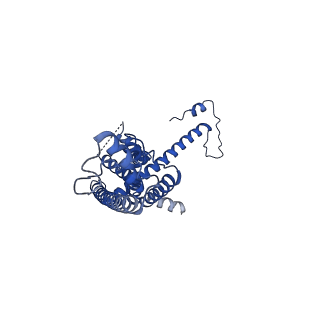 10917_6ytk_S_v1-1
Cryo-EM structure of a dimer of decameric human CALHM4 in the absence of Ca2+