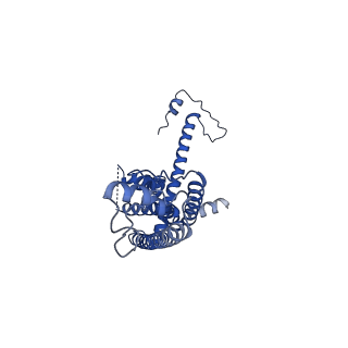 10917_6ytk_T_v1-1
Cryo-EM structure of a dimer of decameric human CALHM4 in the absence of Ca2+