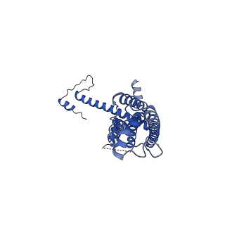 10919_6ytl_C_v1-1
Cryo-EM structure of a dimer of undecameric human CALHM4 in the absence of Ca2+