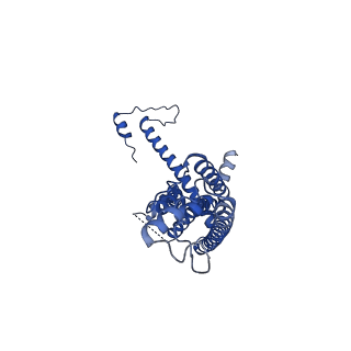 10919_6ytl_D_v1-1
Cryo-EM structure of a dimer of undecameric human CALHM4 in the absence of Ca2+