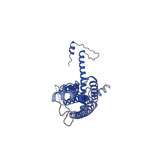 10919_6ytl_E_v1-1
Cryo-EM structure of a dimer of undecameric human CALHM4 in the absence of Ca2+