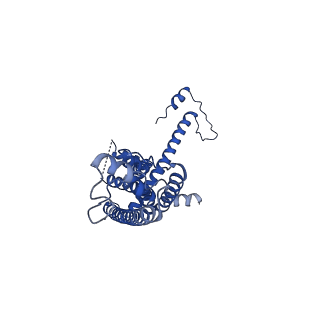 10919_6ytl_F_v1-1
Cryo-EM structure of a dimer of undecameric human CALHM4 in the absence of Ca2+