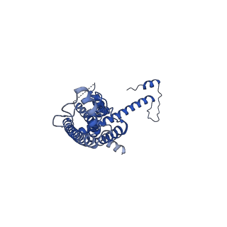 10919_6ytl_G_v1-1
Cryo-EM structure of a dimer of undecameric human CALHM4 in the absence of Ca2+