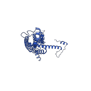 10919_6ytl_H_v1-1
Cryo-EM structure of a dimer of undecameric human CALHM4 in the absence of Ca2+