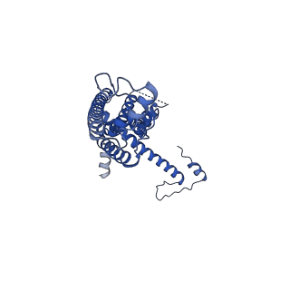 10919_6ytl_I_v1-1
Cryo-EM structure of a dimer of undecameric human CALHM4 in the absence of Ca2+