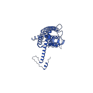 10919_6ytl_K_v1-1
Cryo-EM structure of a dimer of undecameric human CALHM4 in the absence of Ca2+