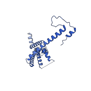 10919_6ytl_L_v1-1
Cryo-EM structure of a dimer of undecameric human CALHM4 in the absence of Ca2+