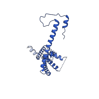 10919_6ytl_M_v1-1
Cryo-EM structure of a dimer of undecameric human CALHM4 in the absence of Ca2+