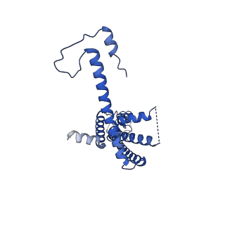 10919_6ytl_N_v1-1
Cryo-EM structure of a dimer of undecameric human CALHM4 in the absence of Ca2+