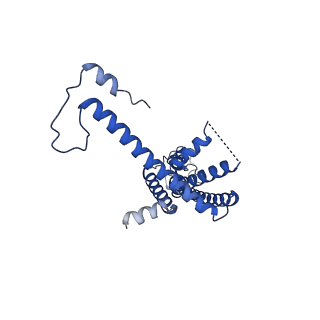 10919_6ytl_O_v1-1
Cryo-EM structure of a dimer of undecameric human CALHM4 in the absence of Ca2+