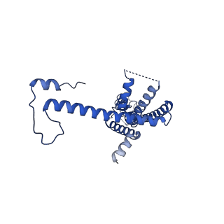 10919_6ytl_P_v1-1
Cryo-EM structure of a dimer of undecameric human CALHM4 in the absence of Ca2+