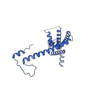 10919_6ytl_Q_v1-1
Cryo-EM structure of a dimer of undecameric human CALHM4 in the absence of Ca2+