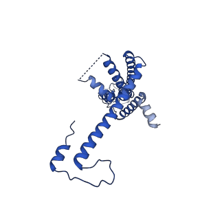10919_6ytl_R_v1-1
Cryo-EM structure of a dimer of undecameric human CALHM4 in the absence of Ca2+