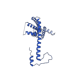 10919_6ytl_S_v1-1
Cryo-EM structure of a dimer of undecameric human CALHM4 in the absence of Ca2+