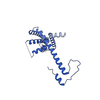10919_6ytl_T_v1-1
Cryo-EM structure of a dimer of undecameric human CALHM4 in the absence of Ca2+