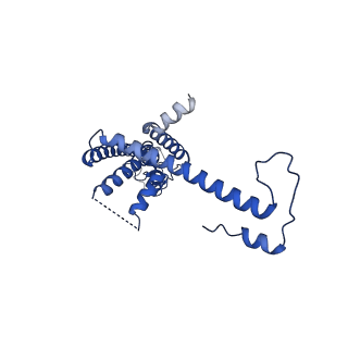 10919_6ytl_U_v1-1
Cryo-EM structure of a dimer of undecameric human CALHM4 in the absence of Ca2+