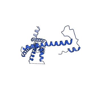 10919_6ytl_V_v1-1
Cryo-EM structure of a dimer of undecameric human CALHM4 in the absence of Ca2+
