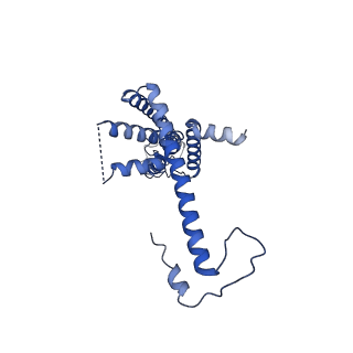 10920_6yto_A_v1-1
Cryo-EM structure of a dimer of decameric human CALHM4 in the presence of Ca2+