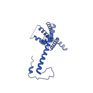 10920_6yto_B_v1-1
Cryo-EM structure of a dimer of decameric human CALHM4 in the presence of Ca2+