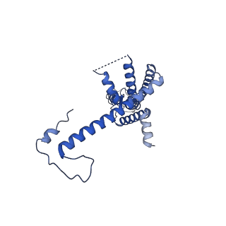 10920_6yto_C_v1-1
Cryo-EM structure of a dimer of decameric human CALHM4 in the presence of Ca2+