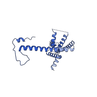 10920_6yto_D_v1-1
Cryo-EM structure of a dimer of decameric human CALHM4 in the presence of Ca2+