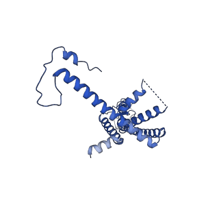 10920_6yto_E_v1-1
Cryo-EM structure of a dimer of decameric human CALHM4 in the presence of Ca2+