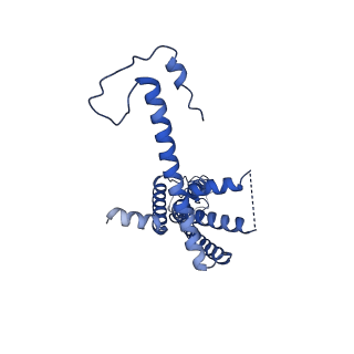 10920_6yto_F_v1-1
Cryo-EM structure of a dimer of decameric human CALHM4 in the presence of Ca2+