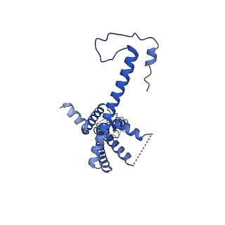 10920_6yto_G_v1-1
Cryo-EM structure of a dimer of decameric human CALHM4 in the presence of Ca2+