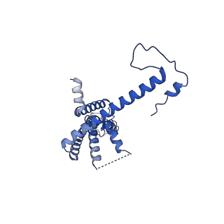 10920_6yto_H_v1-1
Cryo-EM structure of a dimer of decameric human CALHM4 in the presence of Ca2+