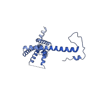 10920_6yto_I_v1-1
Cryo-EM structure of a dimer of decameric human CALHM4 in the presence of Ca2+