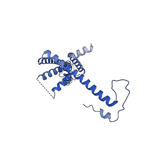 10920_6yto_J_v1-1
Cryo-EM structure of a dimer of decameric human CALHM4 in the presence of Ca2+