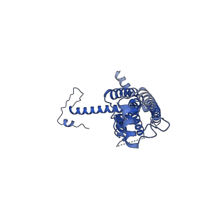 10920_6yto_M_v1-1
Cryo-EM structure of a dimer of decameric human CALHM4 in the presence of Ca2+