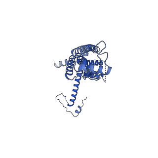 10920_6yto_O_v1-1
Cryo-EM structure of a dimer of decameric human CALHM4 in the presence of Ca2+