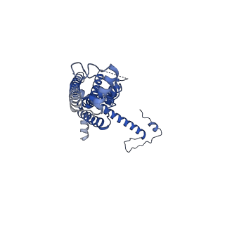 10920_6yto_Q_v1-1
Cryo-EM structure of a dimer of decameric human CALHM4 in the presence of Ca2+