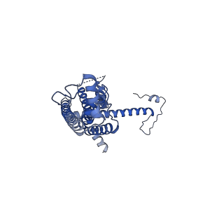 10920_6yto_R_v1-1
Cryo-EM structure of a dimer of decameric human CALHM4 in the presence of Ca2+