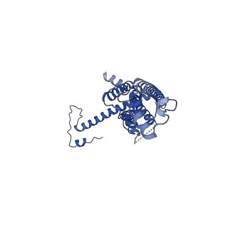 10921_6ytq_A_v1-1
Cryo-EM structure of a dimer of undecameric human CALHM4 in the presence of Ca2+
