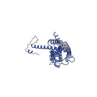 10921_6ytq_B_v1-1
Cryo-EM structure of a dimer of undecameric human CALHM4 in the presence of Ca2+