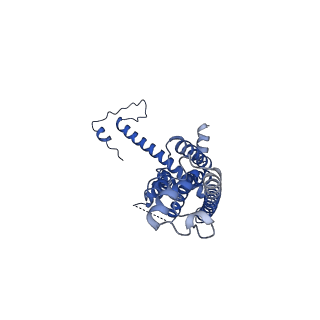 10921_6ytq_C_v1-1
Cryo-EM structure of a dimer of undecameric human CALHM4 in the presence of Ca2+