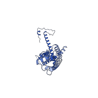 10921_6ytq_D_v1-1
Cryo-EM structure of a dimer of undecameric human CALHM4 in the presence of Ca2+