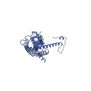10921_6ytq_G_v1-1
Cryo-EM structure of a dimer of undecameric human CALHM4 in the presence of Ca2+