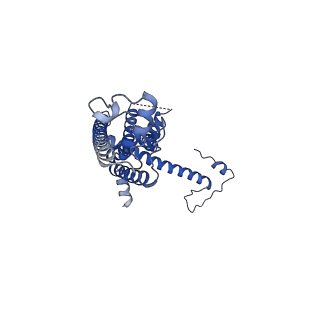 10921_6ytq_H_v1-1
Cryo-EM structure of a dimer of undecameric human CALHM4 in the presence of Ca2+