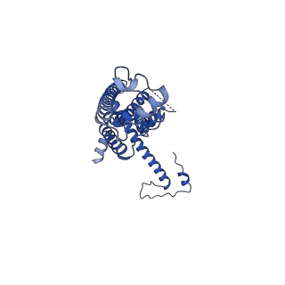 10921_6ytq_I_v1-1
Cryo-EM structure of a dimer of undecameric human CALHM4 in the presence of Ca2+