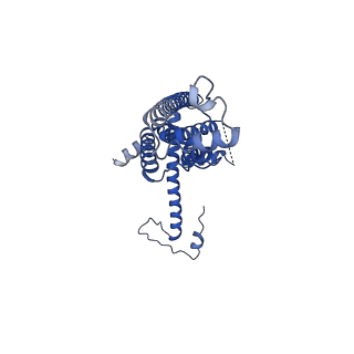 10921_6ytq_J_v1-1
Cryo-EM structure of a dimer of undecameric human CALHM4 in the presence of Ca2+