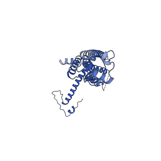 10921_6ytq_K_v1-1
Cryo-EM structure of a dimer of undecameric human CALHM4 in the presence of Ca2+